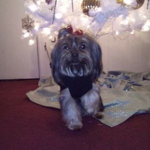 Meet your Posher, Gabrielle